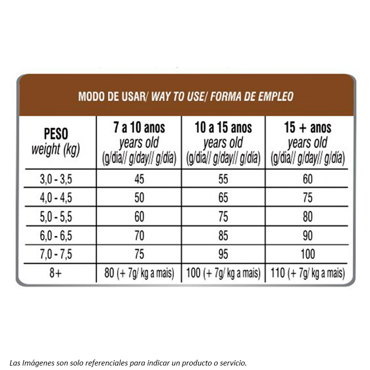 Biofresh Gatos Senior4