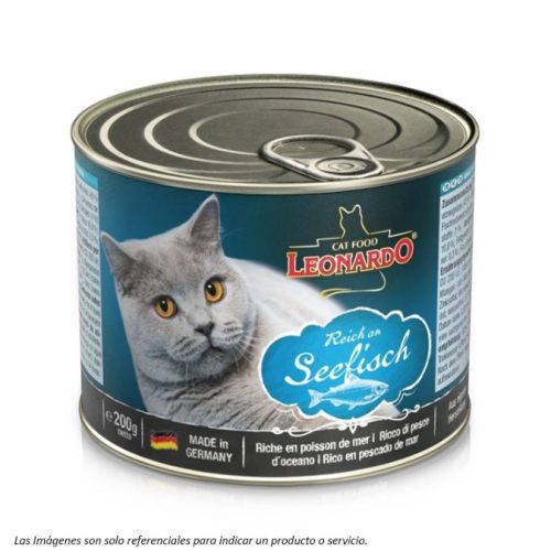 Leonardo Lata Seefisch - sabor Pescado