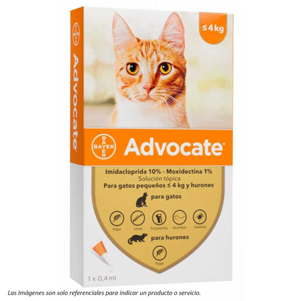 Advocate Gatos hasta 4KG