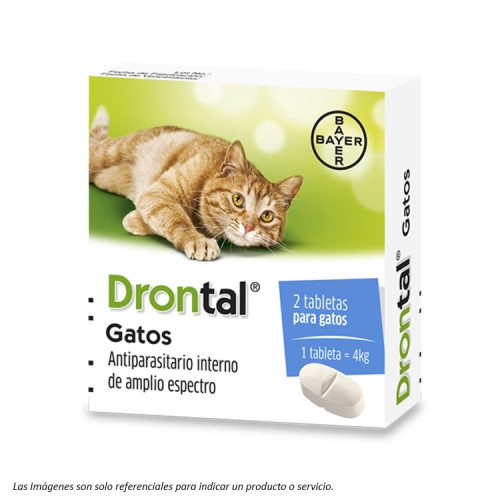 Drontal Cats