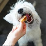 Barker Long Lasting Casquitos de Cerdo 30UND - Imagen 2