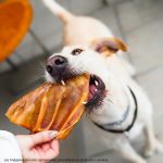 Barker Long Lasting Orejas de Cerdo 4UND - Imagen 2