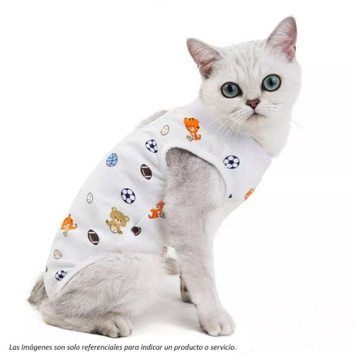 Body Post Operatorio para Gatos modelo Balones