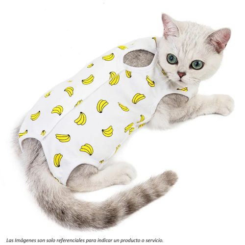 Body Post Operatorio para Gatos modelo Bananas