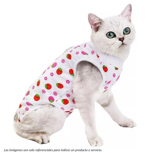 Body Post Operatorio para Gatos modelo Fresas