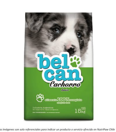 portada Alimento Belcan para Perros Cachorros