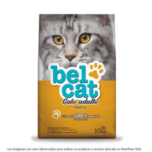 portada Alimento Belcat Gato Adulto de Vitalcan línea económica