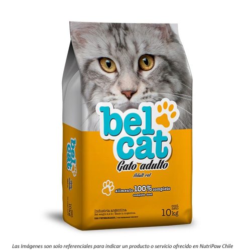 portada de lado del Alimento Belcat Gato Adulto de Vitalcan línea económica