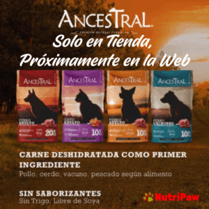 Ancestral