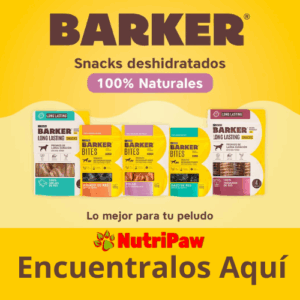 Barker aqui